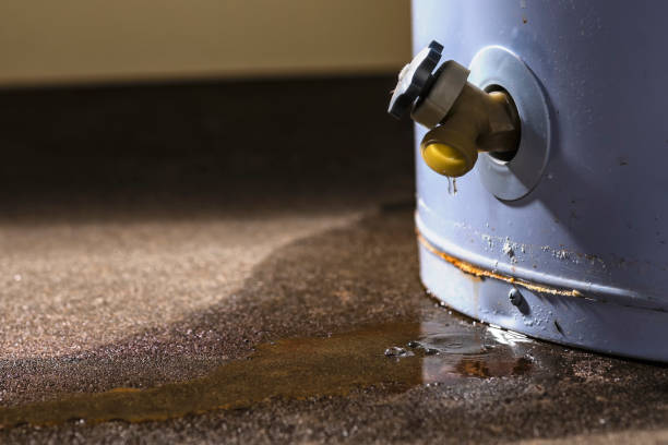 Best Local water damage restoration  in East Speer, NC