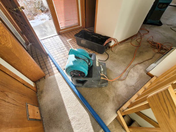 Best Water damage repair service  in East Speer, NC