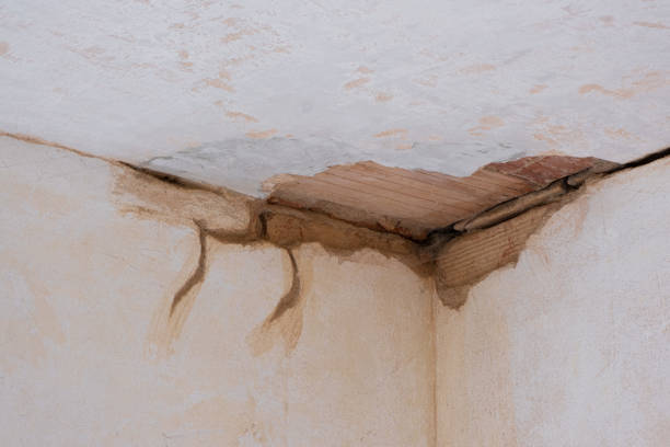 Best 24/7 water damage repair  in East Speer, NC