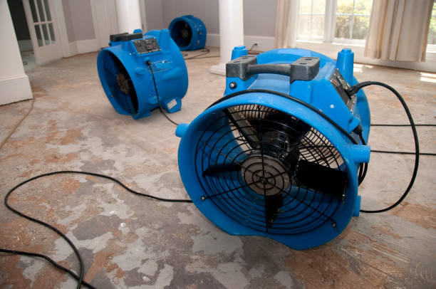 Best Flood damage cleanup  in East Speer, NC