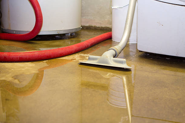 Best Water damage restoration near me  in East Speer, NC