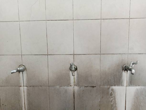 Best Sewage cleanup and water damage restoration  in East Speer, NC